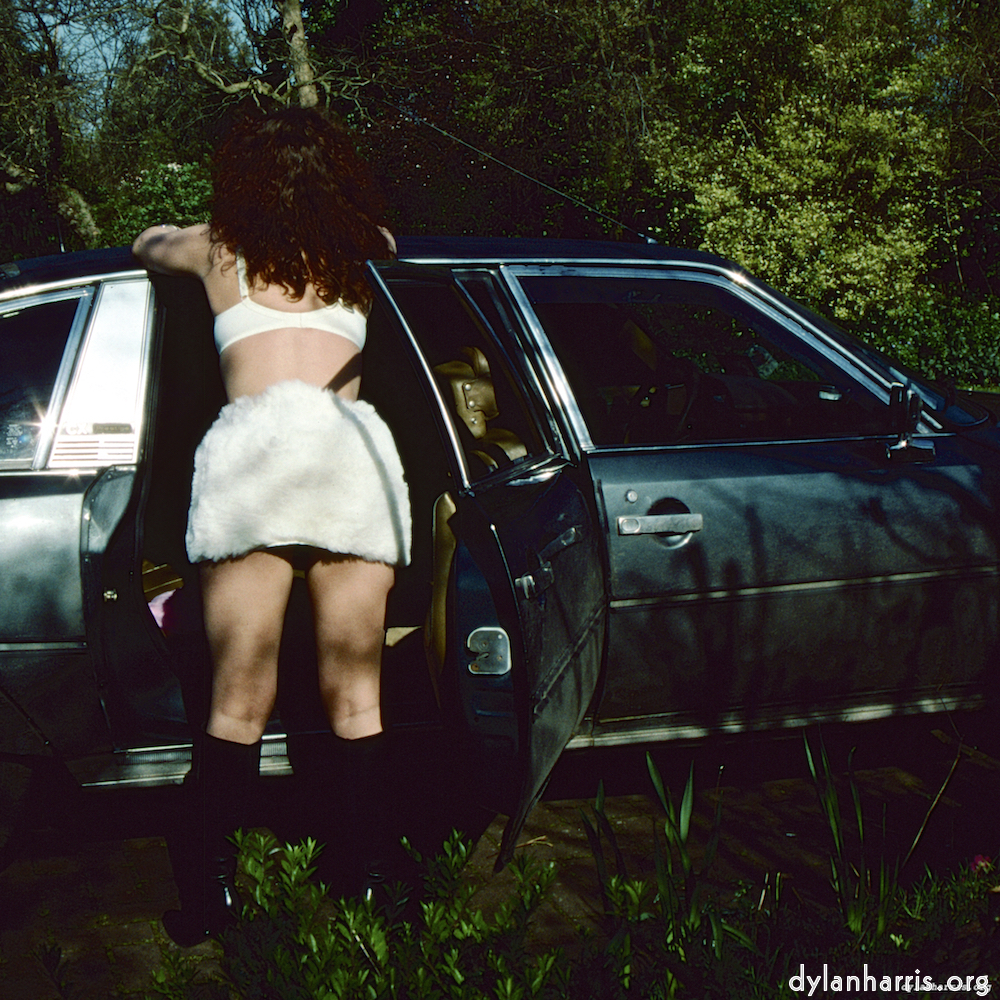 Image: Image 'kerry (xxxviii) 1'.