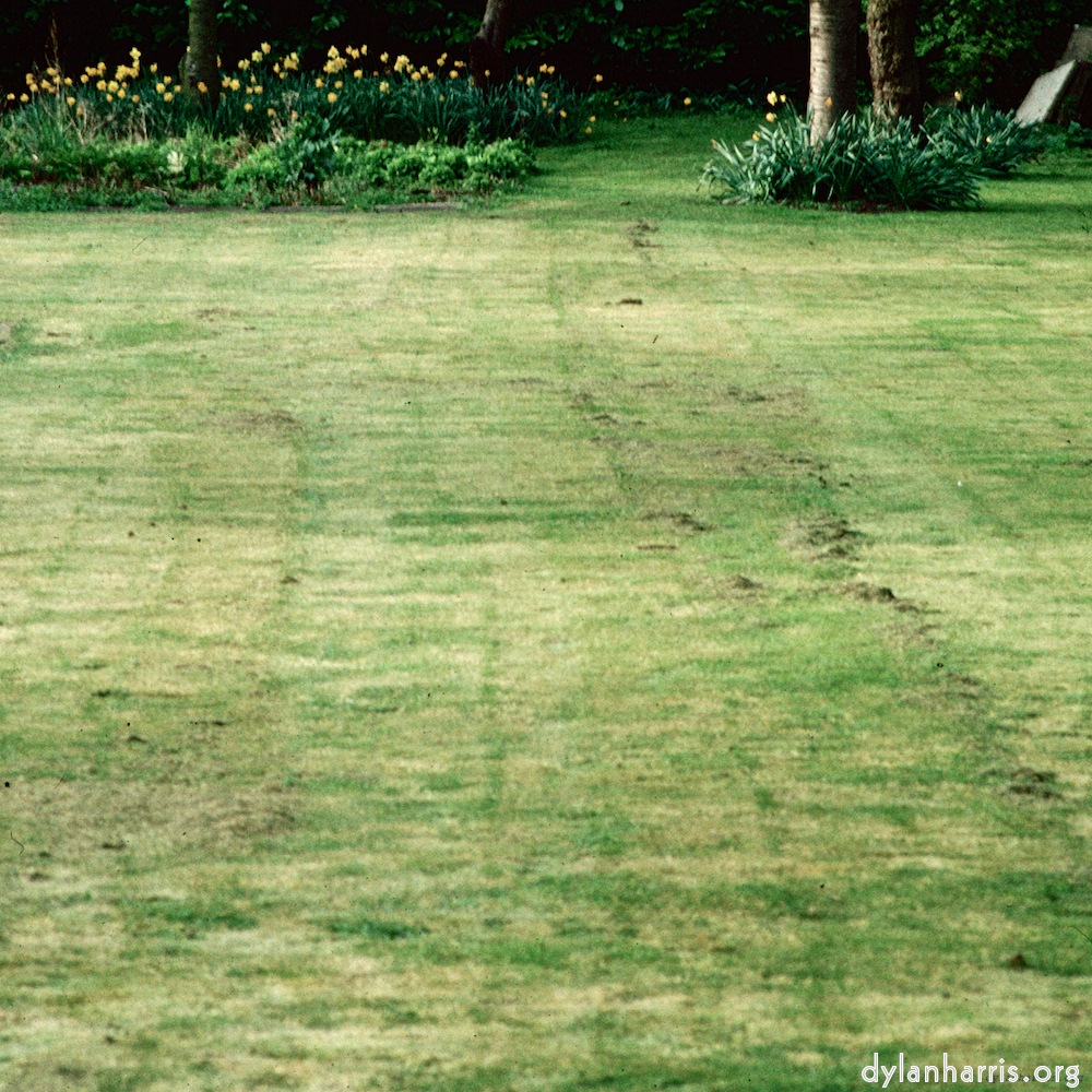 Image 'kerry (xxxix) 2'.