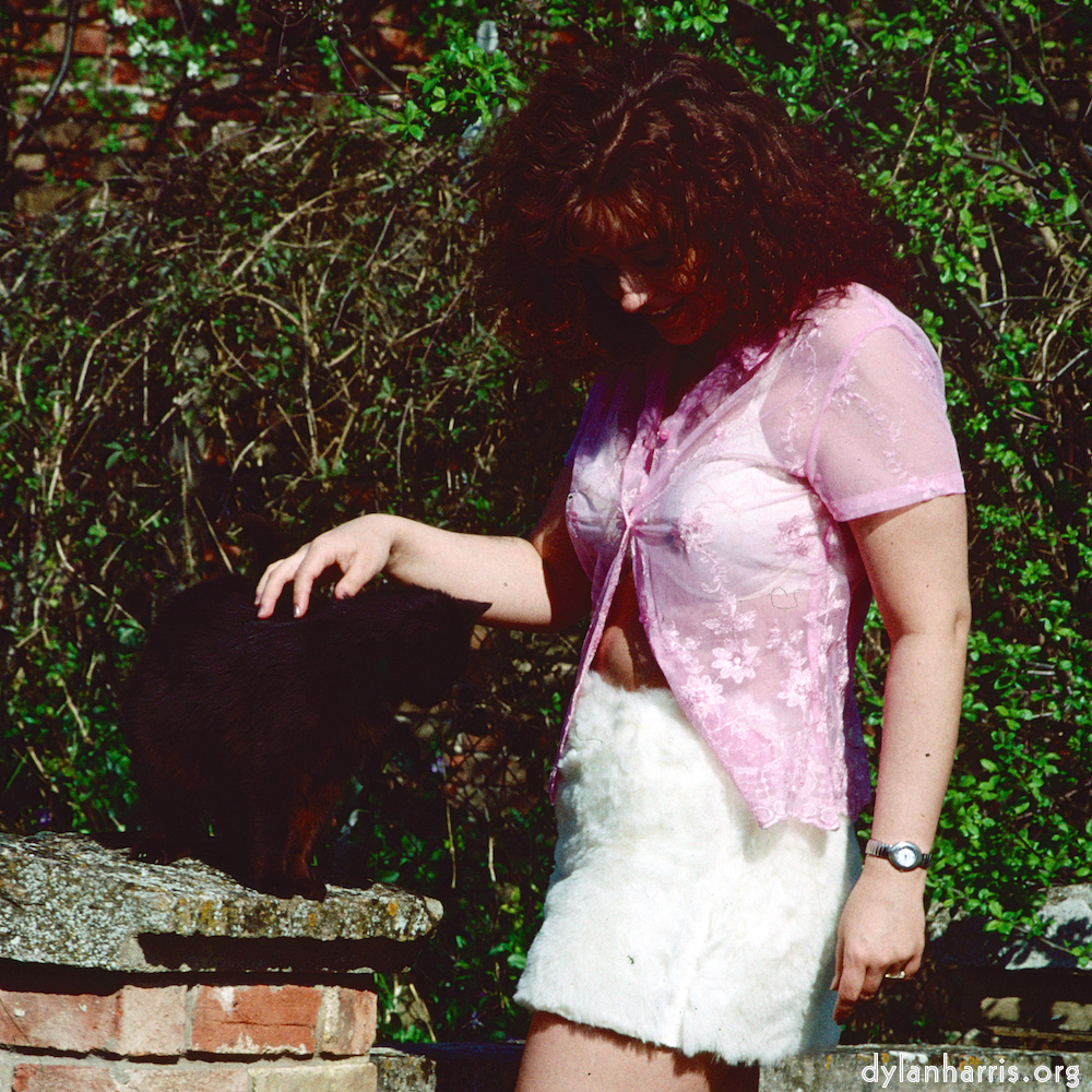 Image 'kerry (xxxix) 5'.