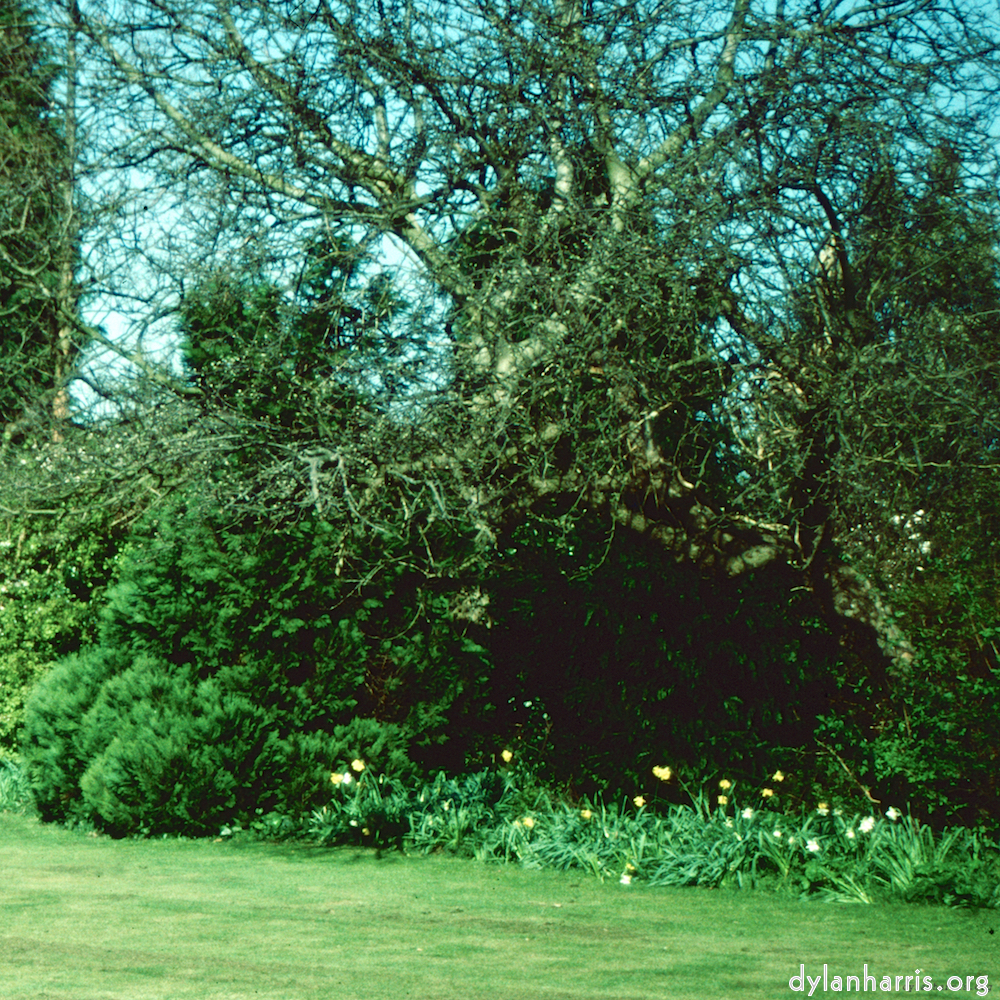 Image: Image 'kerry (xxxix) 6'.