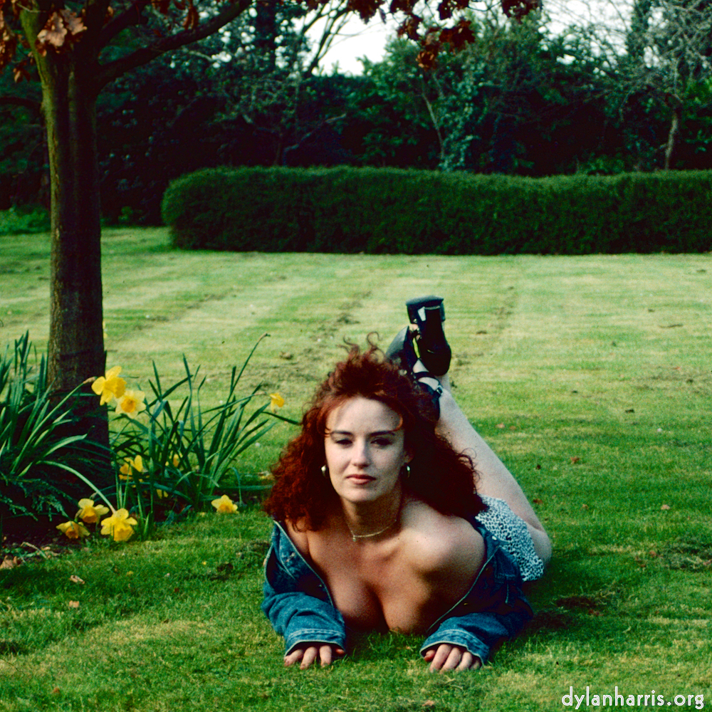 Image: Image 'kerry (xxxix) 7'.