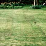 Second image from the photoset 'kerry (xxxix)'.