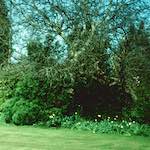 Sixth image from the photoset 'kerry (xxxix)'.