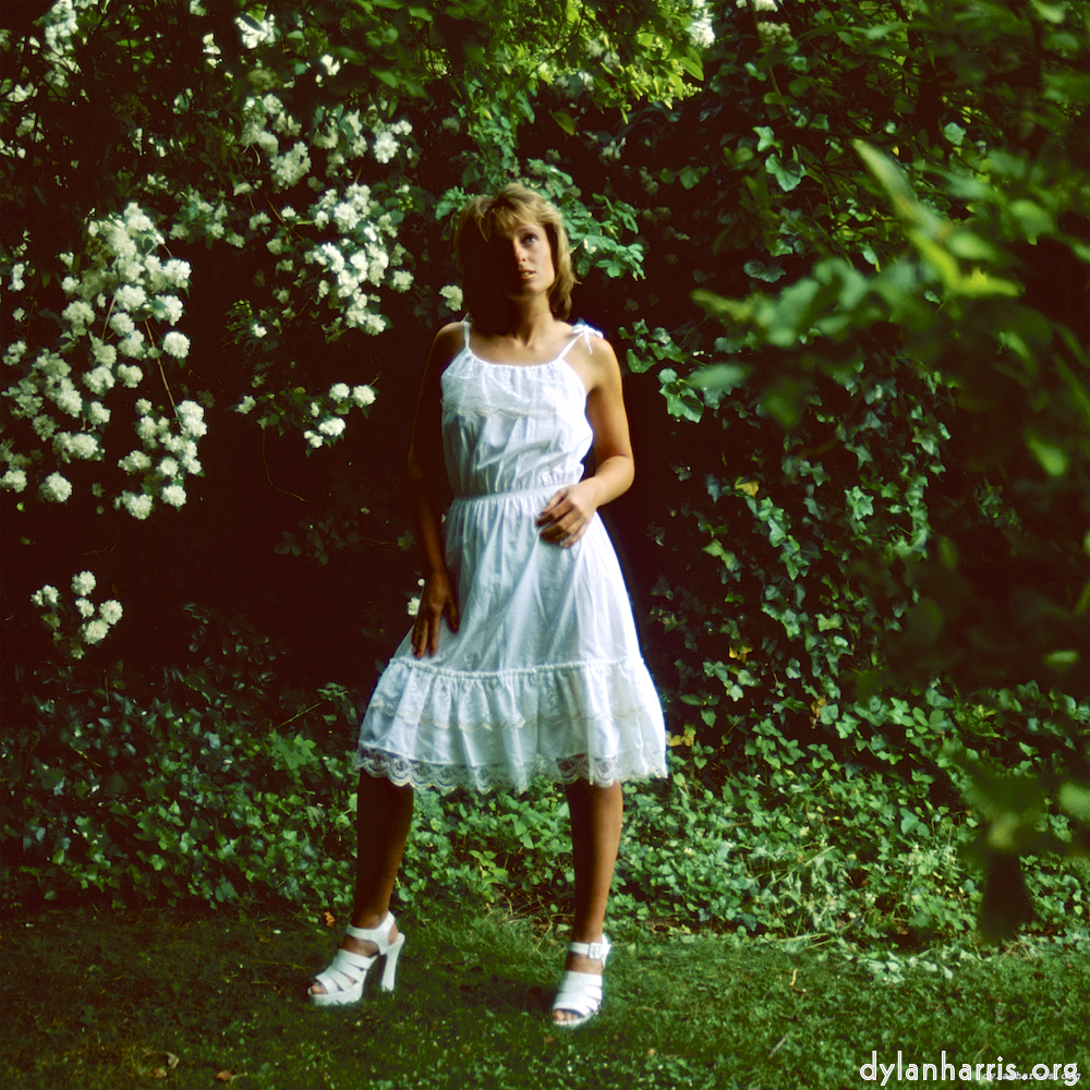 image: This is &lsquo;lisa (l) 3&rsquo;.