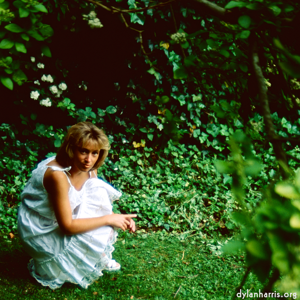 Image 'lisa (li) 1'.