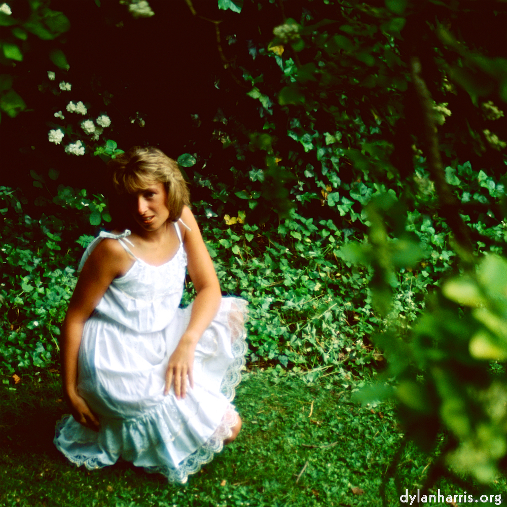 Image 'lisa (li) 2'.