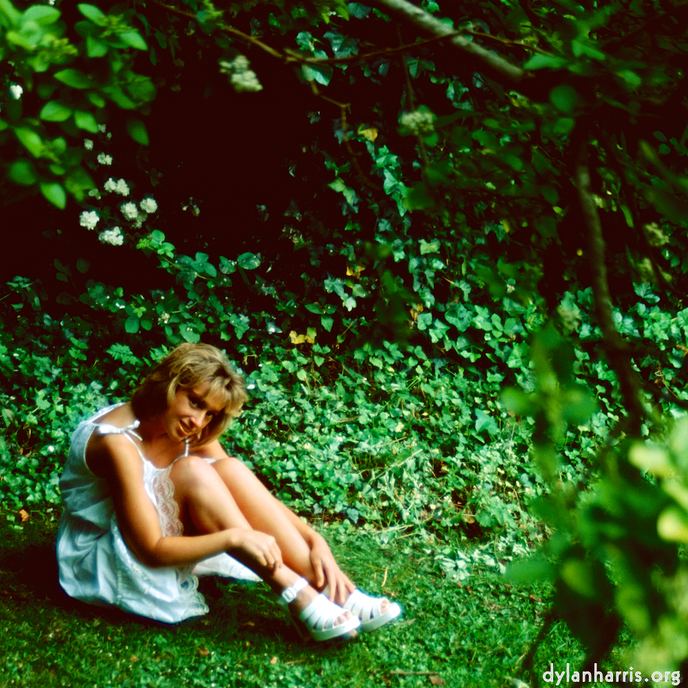 Image 'lisa (li) 3'.