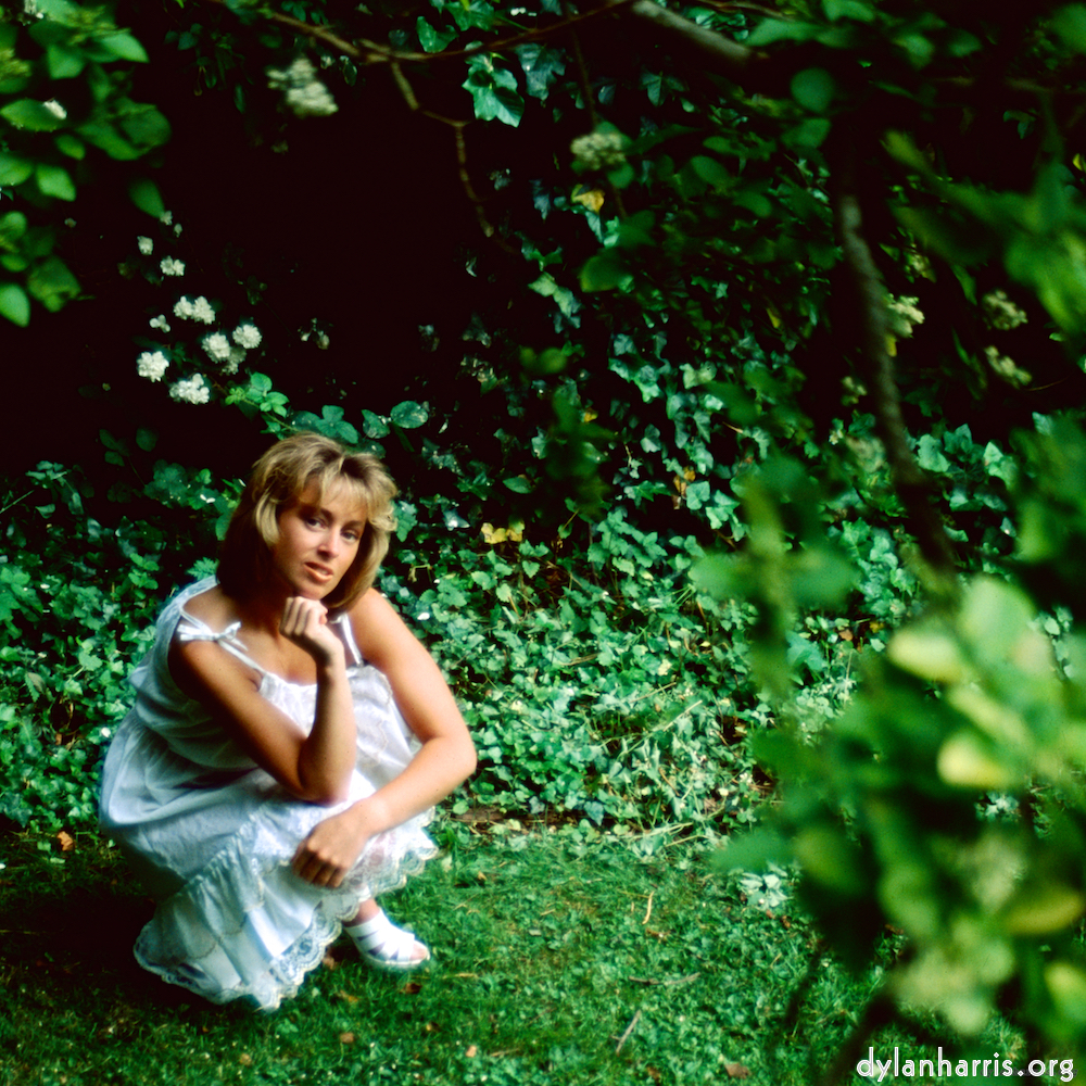 Image 'lisa (li) 4'.