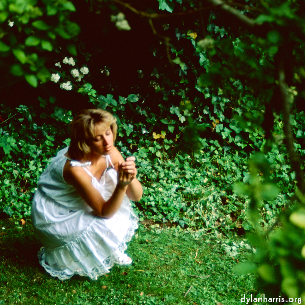 Image 'lisa (li) 6'.