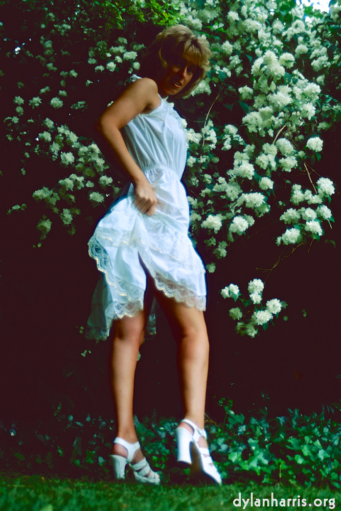 Image 'lisa (lii) 1'.