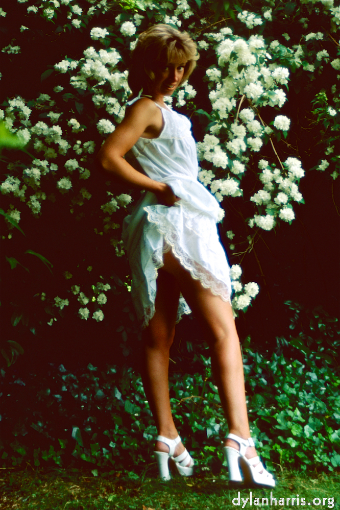 Image: Image 'lisa (lii) 3'.