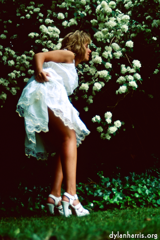 Image 'lisa (lii) 4'.