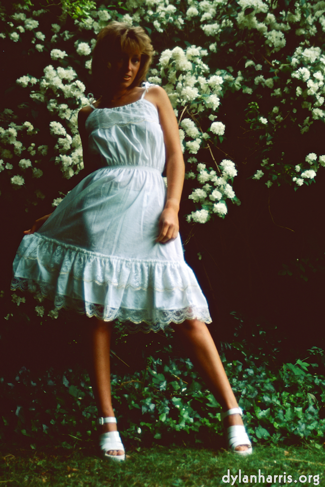 Image: Image 'lisa (lii) 5'.