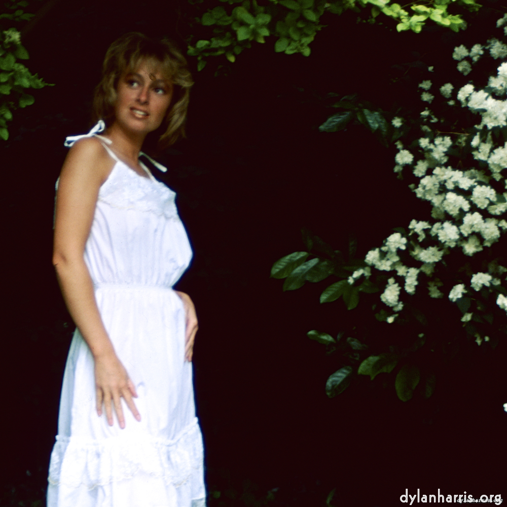 image: This is &lsquo;lisa (xxiii) 1&rsquo;.