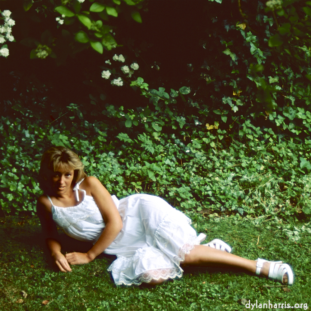 image: This is &lsquo;lisa (xxiii) 2&rsquo;.