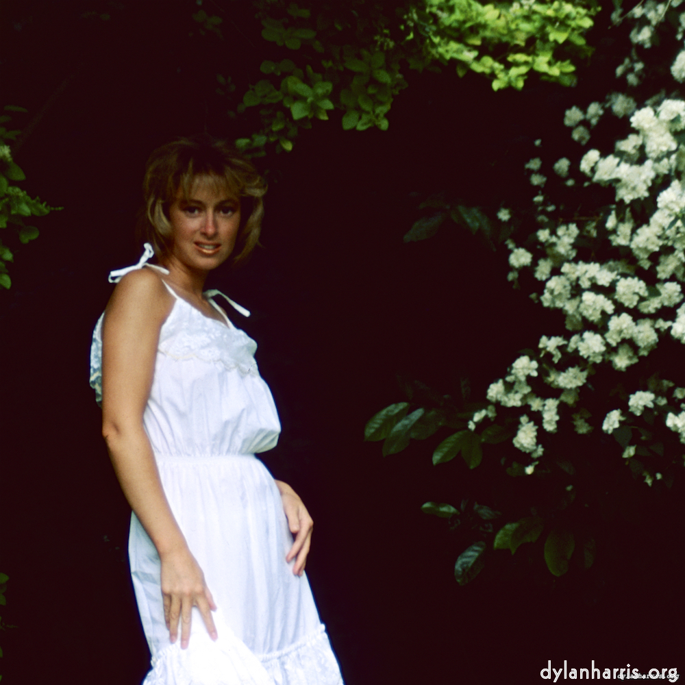 image: This is &lsquo;lisa (xxiii) 4&rsquo;.