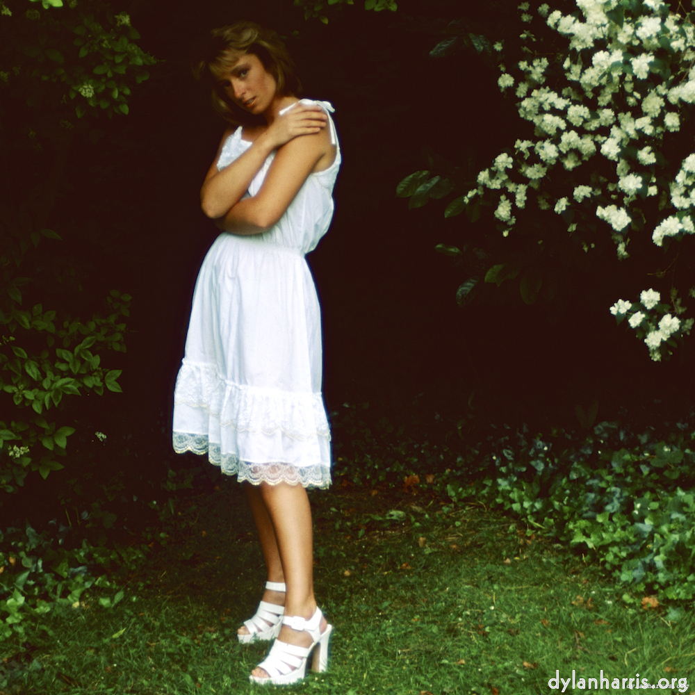 Image 'lisa (xxiii) 8'.