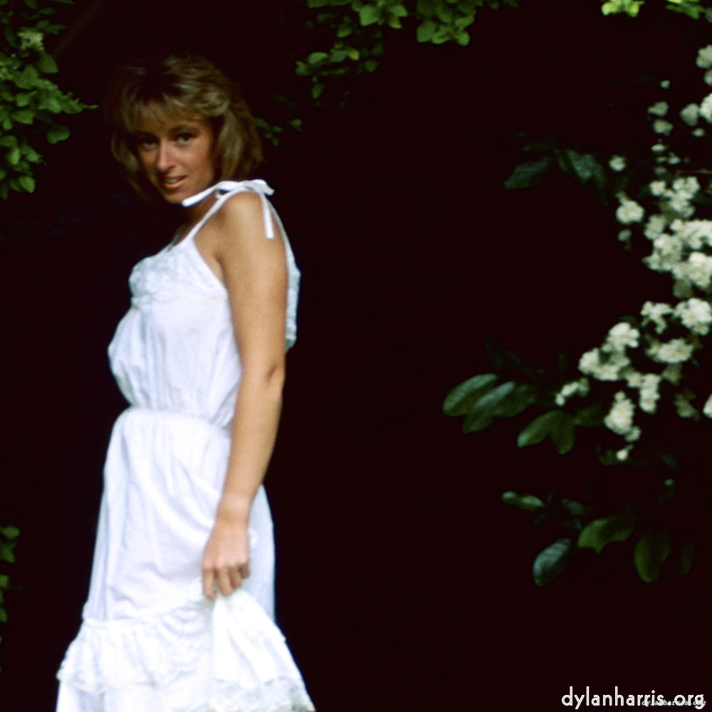 Image 'lisa (xxiii) 9'.