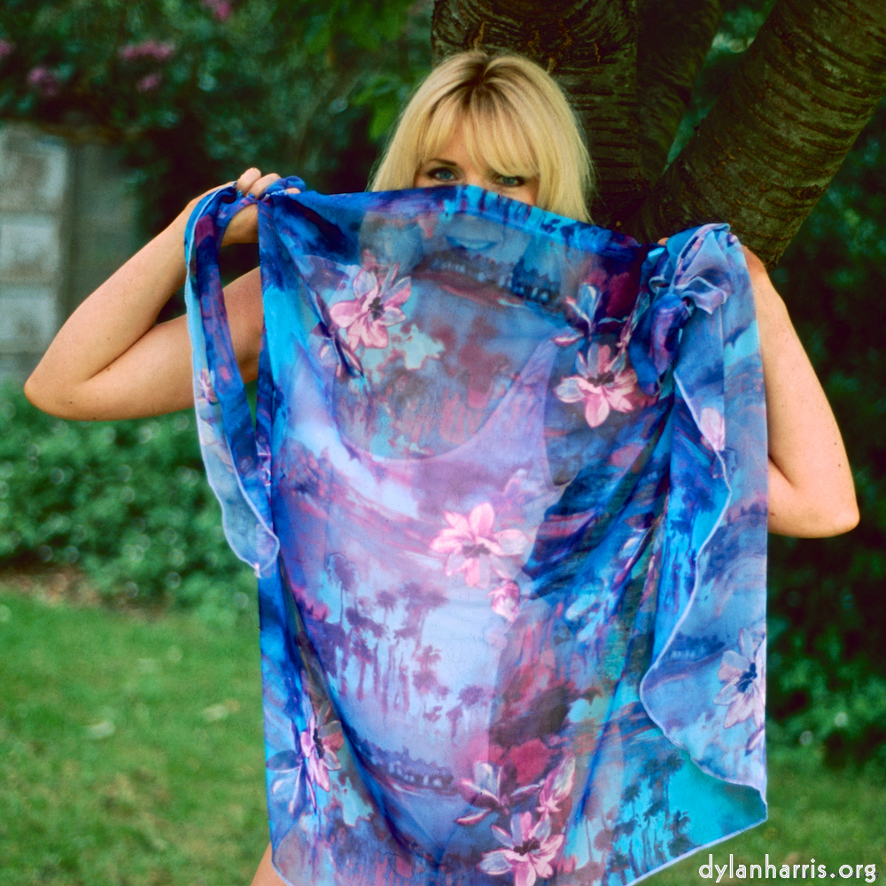 Image: Image 'sue (iv) 10'.