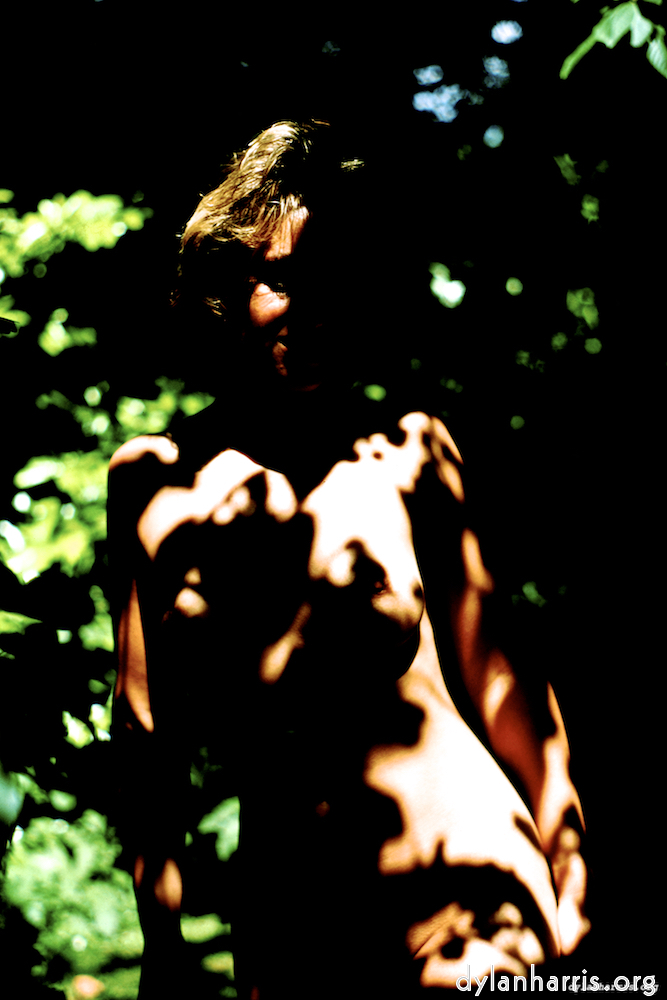 Image: Image 'lisa (liii) 3'.