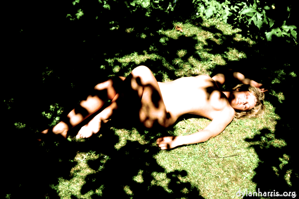 Image 'lisa (liv) 1'.