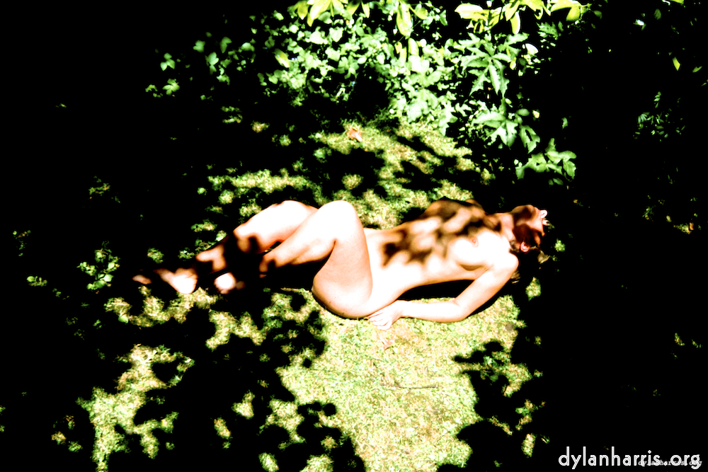 Image 'lisa (liv) 2'.