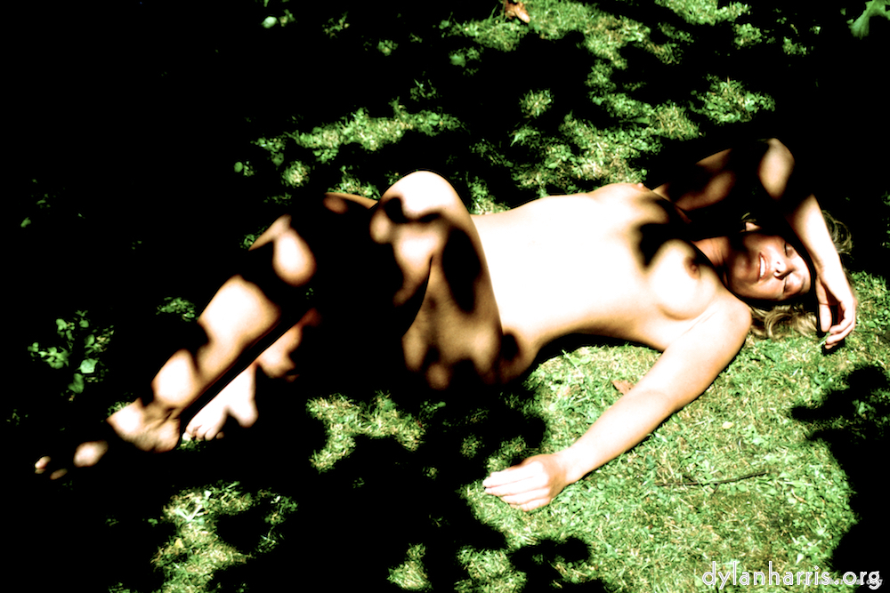 Image 'lisa (liv) 6'.