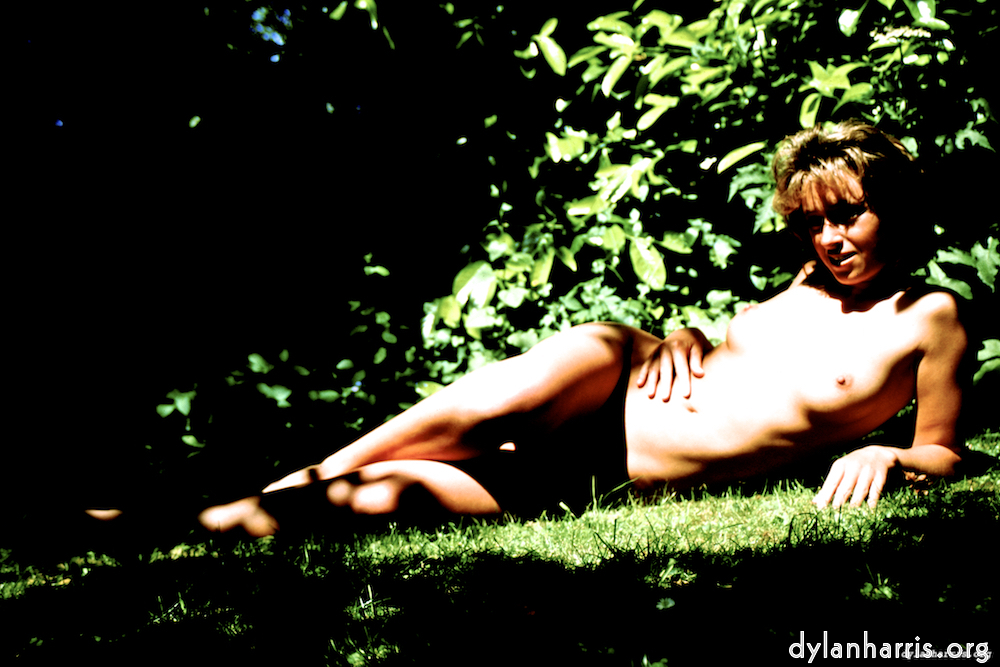 Image 'lisa (lvi) 4'.