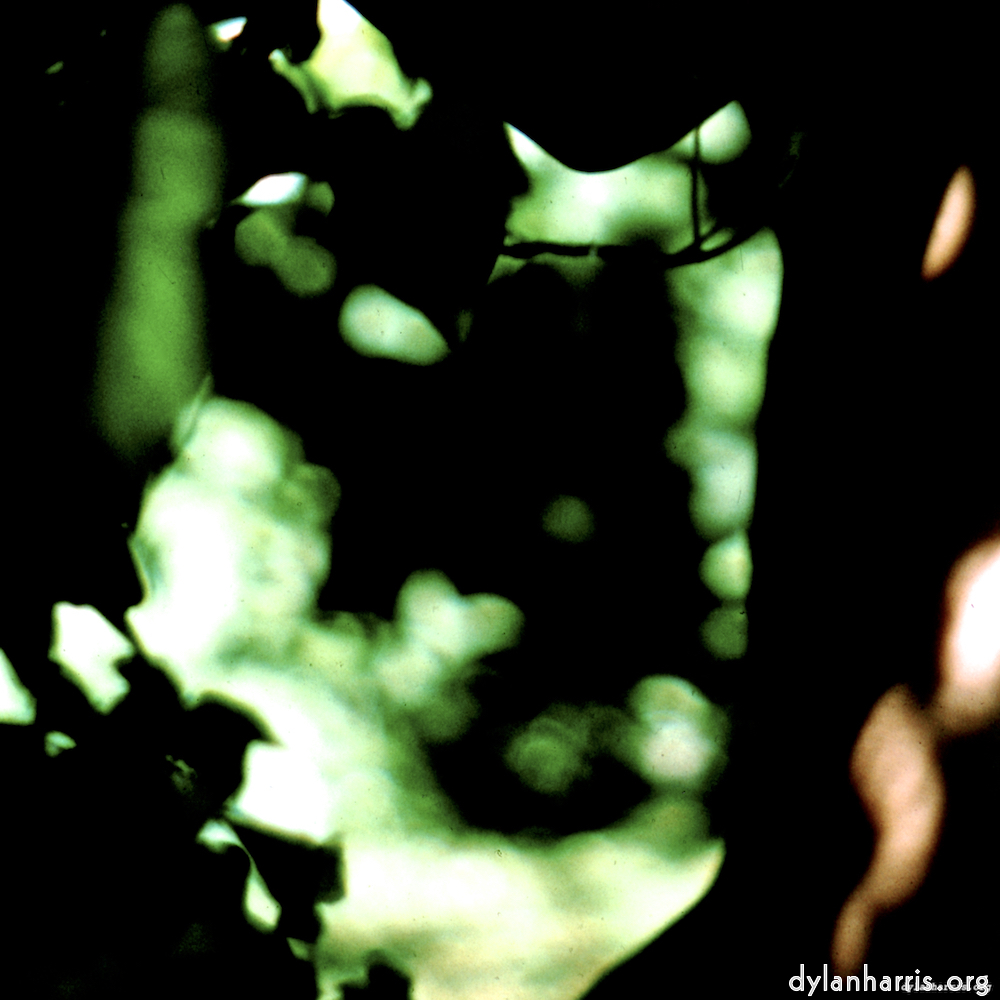 image: This is &lsquo;lisa (lvii) 2&rsquo;.