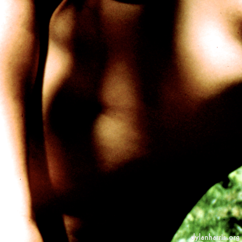 image: This is &lsquo;lisa (lvii) 4&rsquo;.