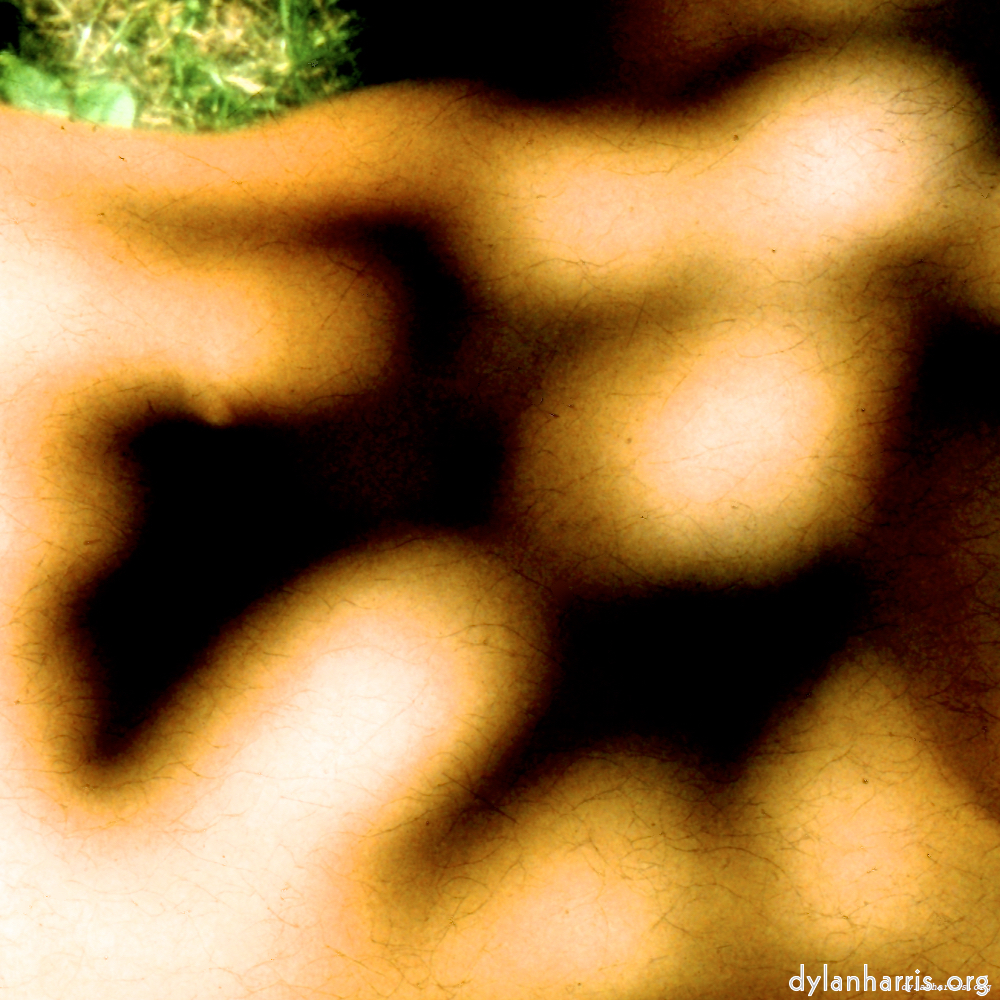 image: This is &lsquo;lisa (lvii) 6&rsquo;.