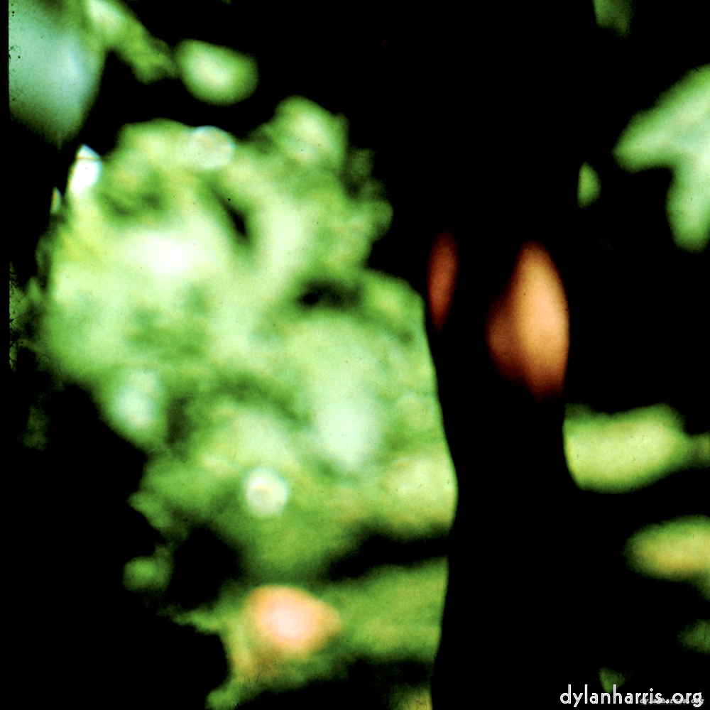 image: This is &lsquo;lisa (lvii) 7&rsquo;.