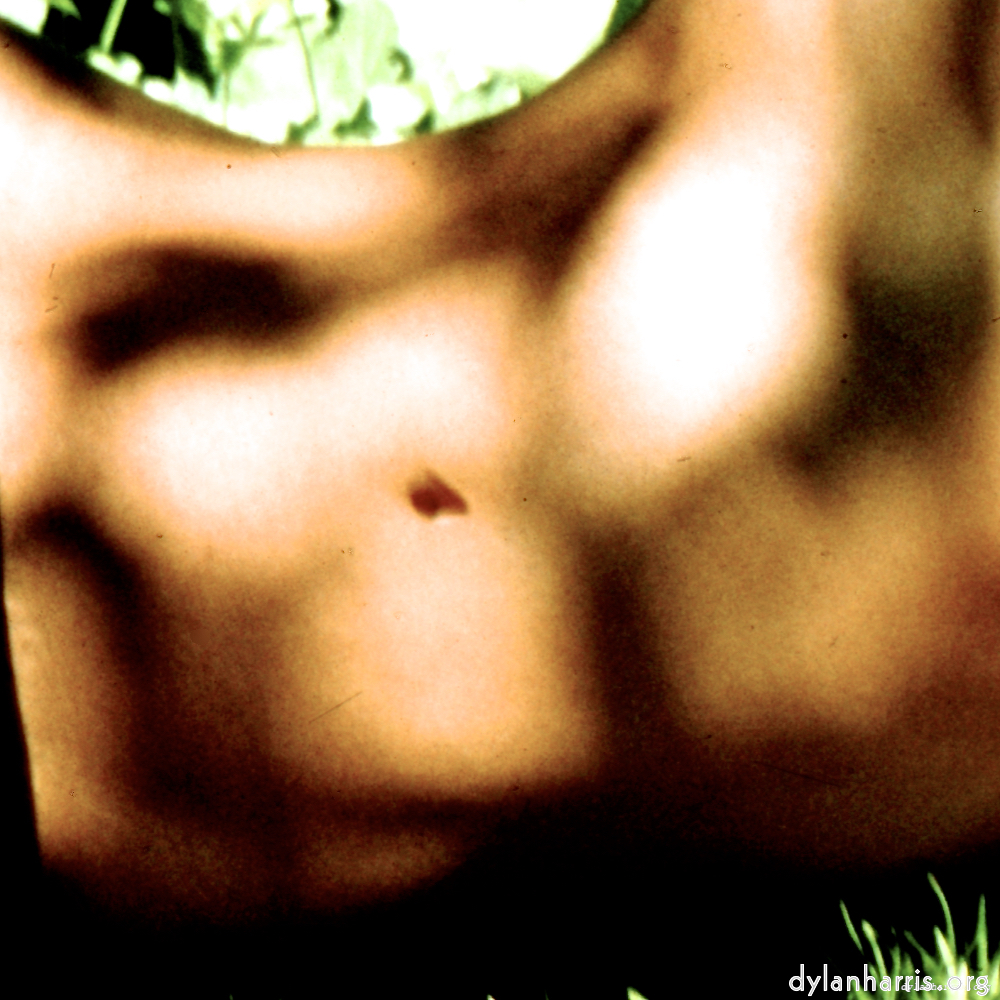 image: This is &lsquo;lisa (lvii) 8&rsquo;.