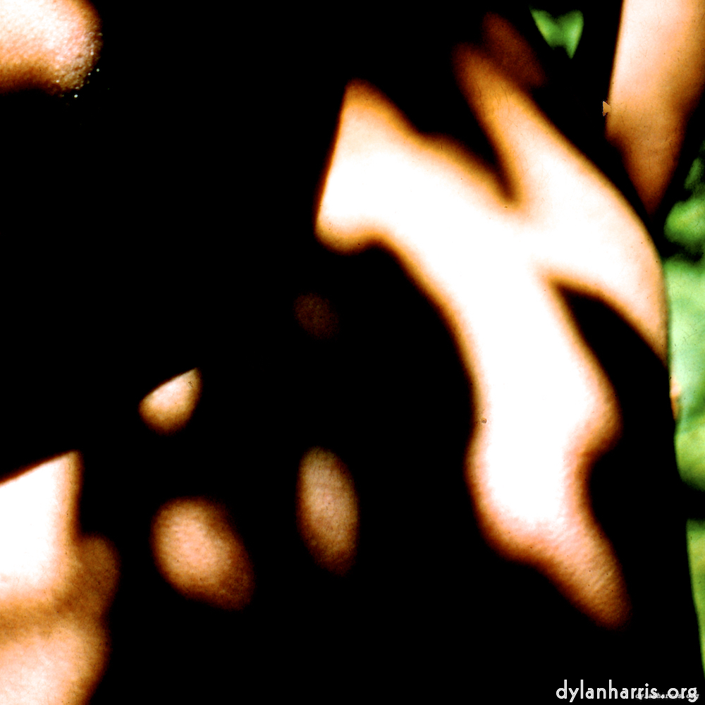 Image 'lisa (lvii) 9'.