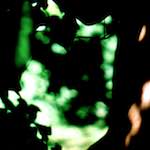 image: Image from the photoset &lsquo;lisa (lvii)&rsquo;.