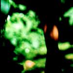 image: Image from the photoset &lsquo;lisa (lvii)&rsquo;.