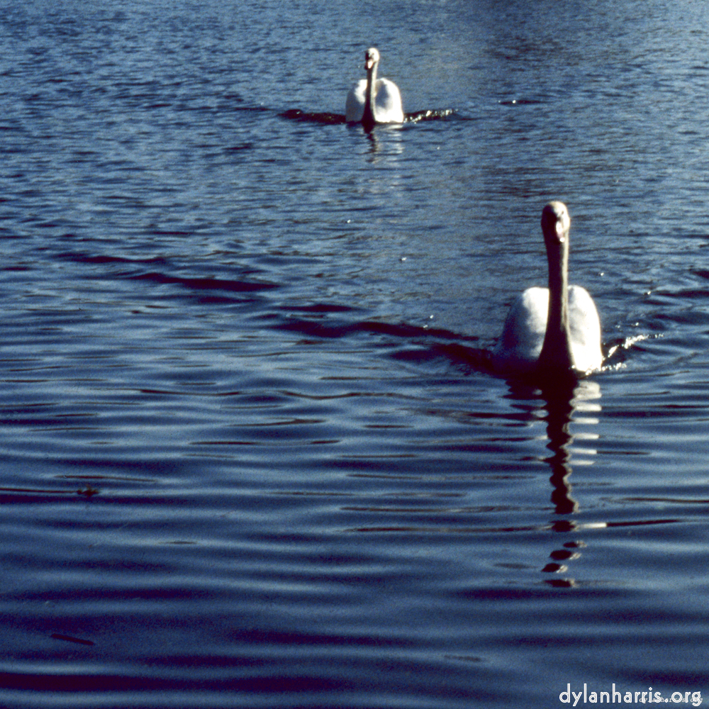 Image: Image 'st. neots 1'.