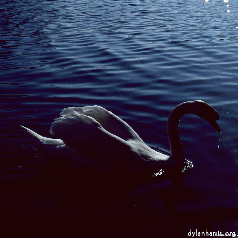 image: This is &lsquo;st. neots 2&rsquo;.