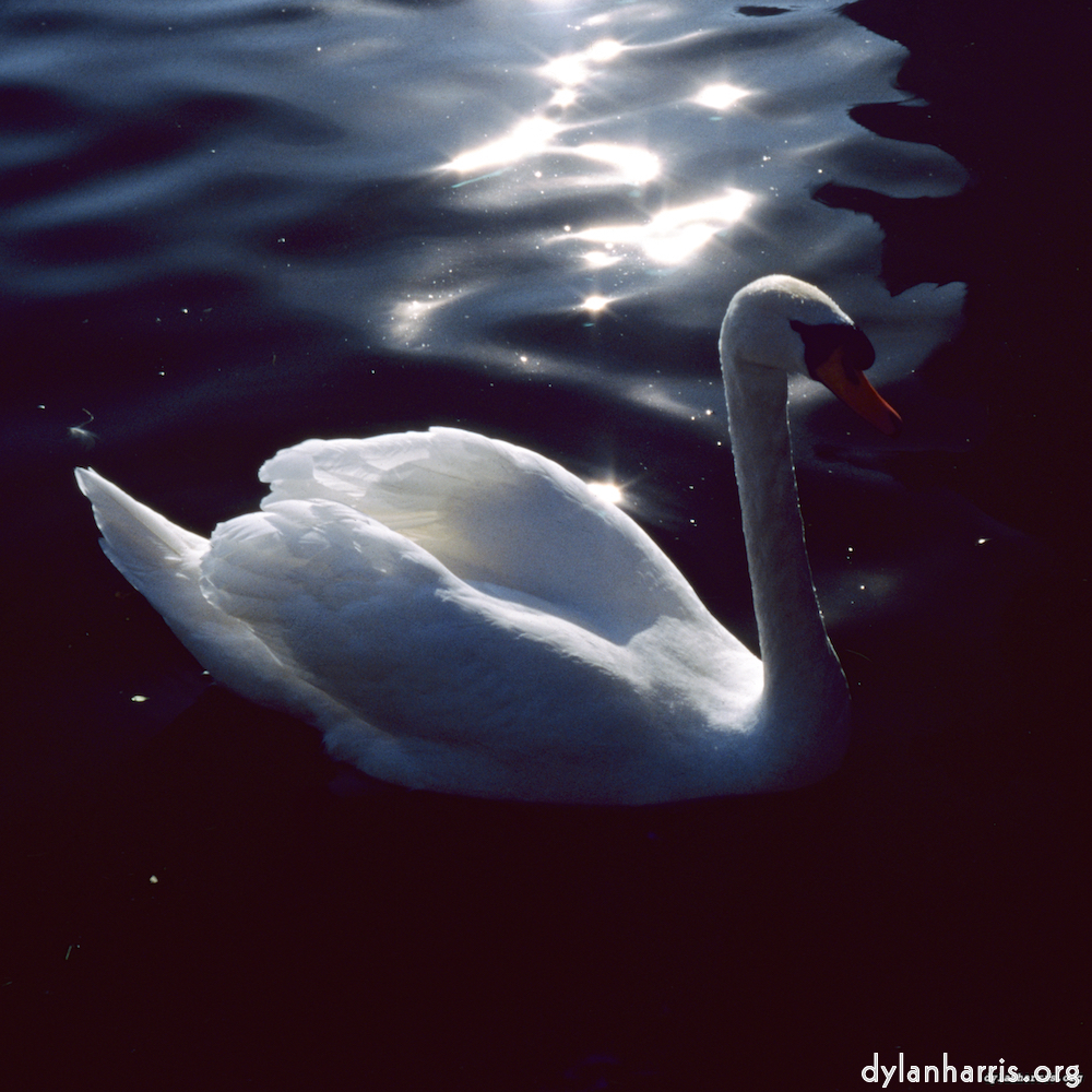 Image: Image 'st. neots 5'.