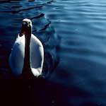 Image: Fourth image from the photoset 'st. neots (ii)'.