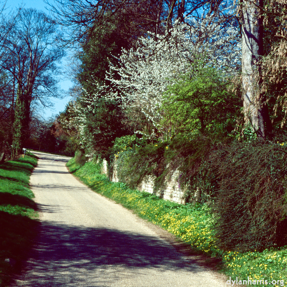 Image: Image 'barnwell (iii) 1'.