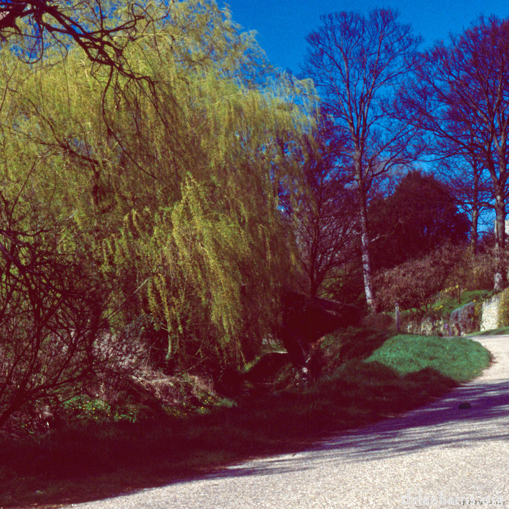 image: This is &lsquo;barnwell (iii) 5&rsquo;.