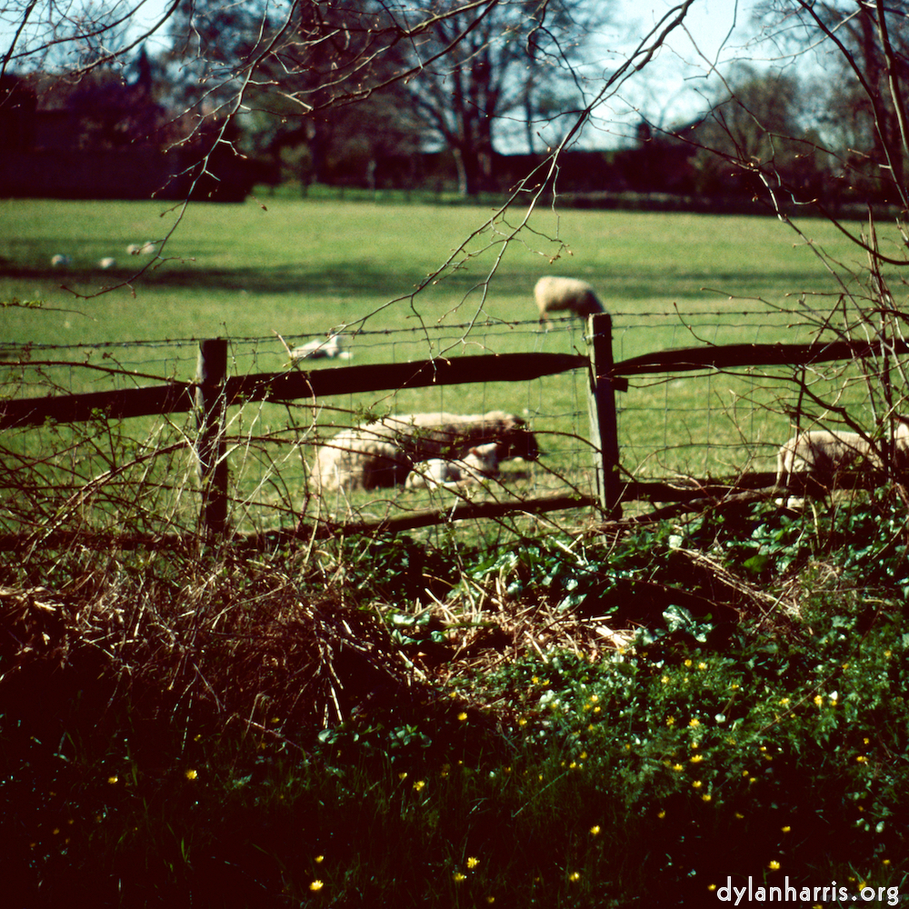 Image 'barnwell (iii) 6'.