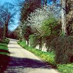 image: Image from the photoset &lsquo;barnwell (iii)&rsquo;.