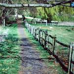 image: Image from the photoset &lsquo;barnwell (iii)&rsquo;.