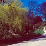 image: Image from the photoset &lsquo;barnwell (iii)&rsquo;.