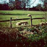 image: Image from the photoset &lsquo;barnwell (iii)&rsquo;.