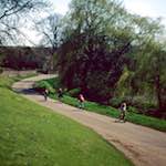 image: Image from the photoset &lsquo;barnwell (iii)&rsquo;.