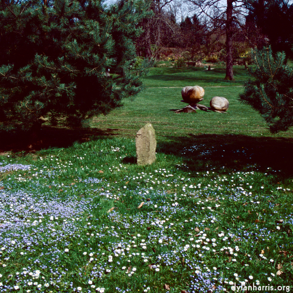 Image: Image 'yorkshire (viii) 7'.