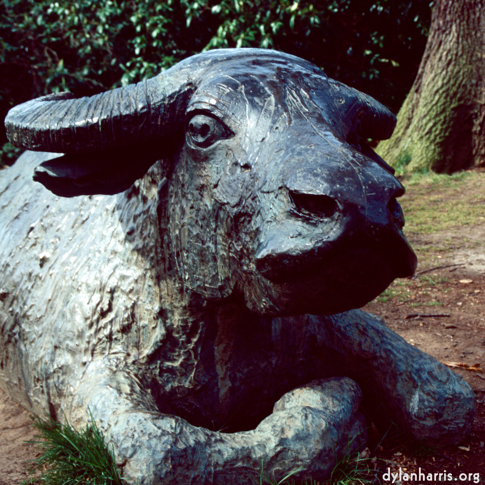 Image: Image 'yorkshire (viii) 8'.